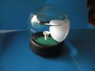 0769748540000 Original Golf Globe Game Water Ball On The 0769748540000 Original Golf Globe Game Water Ball On The