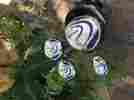 1-3-5-hybrid Ping G5 Tfc 100 Stiff 22 Degree Woods Plus Headcovers Bgzgf