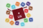 856819003110 Flip Chip Golf Game Chips