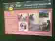 9444 Champ Personal Golf Simulator Club Pc Tour 2003