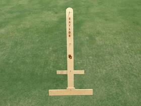 Bu-lg-1000 Allamericantailgate.com Baylor University Engraved Ladder Golf / Toss Lawn Game