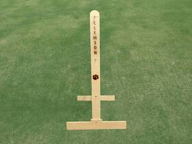 Cu-lg-1000 Allamericantailgate.com Clemson University Engraved Ladder Golf / Toss Lawn Game