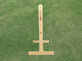 Tu-lg-1000 Allamericantailgate.com Tulane University Engraved Ladder Golf / Toss Lawn Game
