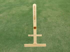 Und-lg-1000 Allamericantailgate.com University Of Notre Dame Ladder Golf / Toss Lawn Game