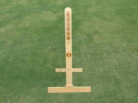 Uor-lg-1000 Allamericantailgate.com University Of Oregon Engraved Ladder Golf / Toss Lawn Game