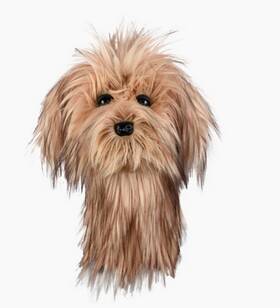 Daphnes 710489469716 New Headcover Scruffy Dog 460cc Driver Golf