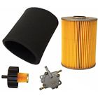 G905 Auto Express Tune Up Kit Fits Cycle Gas Golf Carts