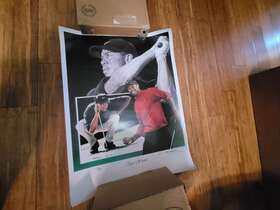 1267 Game Golf 1267/1800 Tiger Woods By Jim Cortes - Vintage Poster Numbered