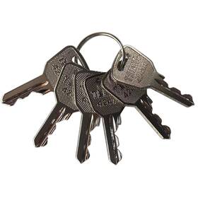 Zfxy253 Gaohou 6pcs 4241a Lift Key Ignition Keys Compatible With Haulotte Ronis Jlg Li