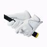 Gf-1517lw Kasco Golf Glove Gloves Classical Fit Both Hands 4959174659216