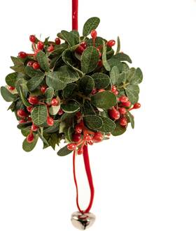 Zj9846sp Kurt S. Adler 4.75 Inch Mistletoe Ball Ornament With Red Ribbon And Silver Bell
