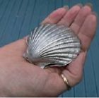 Life Energy New Negater Shell Space Protector 700358321221