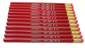Moon Products B21t529 Try-rex Jumbo Triangular Training Pencils With Eraser Pack Red