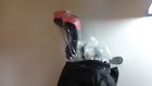 Xgen 2 Titech Ladies Ii Golf Set Brand New