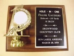 Hole One Golf Trophy Award Plaque Holds Ball Free Engraving Ship. Fixed Price $45.91.