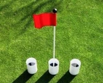 Practice Putting Green Flagstick KITS-33" Marker, Jr Flag, (3) 6" Plastic Cups. Fixed Price $87.99.