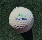 Pine Hills Golf Course Logo Display Ball Wilson Ultra. Fixed Price $11.98.
