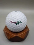 Cherry Oaks Logo Golf Ball Titleist Collectors Display Courses & Clubs. Fixed Price $8.99.