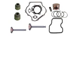 Club Car Ds/ Precedent 1992-UP FE290 Rebuild Kit. Fixed Price $244.95.