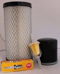 Tune Up Kit Ezgo Rxv Gas Golf Cart Air Filter Oil Spark Plug 96 And. Fixed Price $32.00.