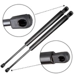 6236 Front Hood Lift Supports Gas Strut Shock For 2001-2006 Lexus LS430. Fixed Price $18.00.