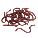 Sbyure 24 Pieces Fake Earthworm Faux Plastic Soft Lifelike Stretchy Rubber.... Fixed Price $13.72.