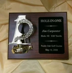 Hole One Golf Ball Trophy Plaque With Free Custom Engraving 8" X 10". Fixed Price $45.00.