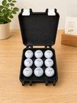 9-BALL Golf Case Travel Organizer, Protective Storage. Fixed Price $30.00.