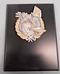 Plaque Trophy Award Resin Theme Golf Relief 6 X 8 Black Finish Free Lettering. Fixed Price $5.69.