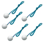 Tabata Golf Spare Balls (5-PIECE Set) GV8041. Fixed Price $32.83.