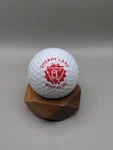 Cherry Lane Logo Golf Ball Nike Collectors Display Club. Fixed Price $9.99.