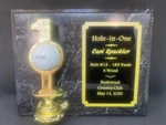 Hole One Golf Trophy Award Plaque Holds Ball Free Engraving. Fixed Price $32.99.