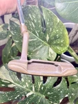 Rare Bobby Grace Kbi Scottsdale Becu Copper 33" Putter Golf Club Right Hand. Fixed Price $169.88.