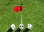 Practice Putting Green Flagstick Kit - 33" Marker, Jr. Flag, (3) 4" Plastic Cups. Fixed Price $85.99.