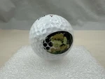Vtg Dunlop Precision Distance Caddyshack Logo Golf Ball Warner Brothers 1999. Fixed Price $14.95.