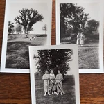Antique 1935 Women Playing Golf 1930S Photos Ladies Bag Clubs Dress Trees. Fixed Price $29.50.