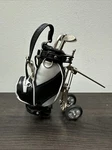 10L0L Golf Holder With Club Pens Set Unique Gifts Souvenirs. Fixed Price $7.99.