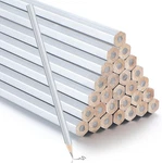 Tondiamo 48 Packs Silver Pencils For Count (pack Of 1), Metallic,. Fixed Price $22.41.