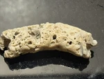 Natural Rare Caribbean Tan Coral Fossil, Ocean Salt Water Crystal 3. Fixed Price $19.99.