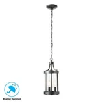 $100 Home Decorators Collection-caged Iron Outdoor 2-LIGHT Hanging Lantern. Fixed Price $39.96.