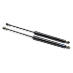 Tsubasa Lift Supports For Toyota RAV4 (XA10) 1994-2000 Front Hood Bonnet Modi.... Fixed Price $62.00.