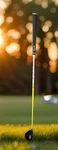 Pursuit Fairway 15* 3-WOOD Golf Power Slot Proforce V2 Regular Flex Shaft Men Rh. Fixed Price $59.99.