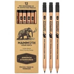 Mammoth Jumbo Pencils 12 Pack, American-made Cedar For Preschoolers.... Fixed Price $23.60.