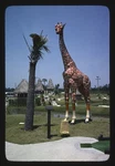 Surfside Beach South Carolina 1979 Tropical Village Mini Golf Giraffe Palm Tree. Fixed Price $13.49.